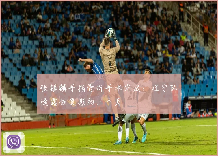 张镇麟手指骨折手术完成，辽宁队透露恢复期约三个月